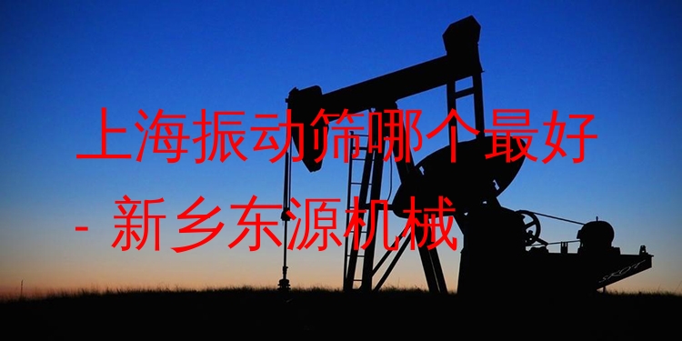 上海振動篩哪個***好 - 新鄉(xiāng)東源機械