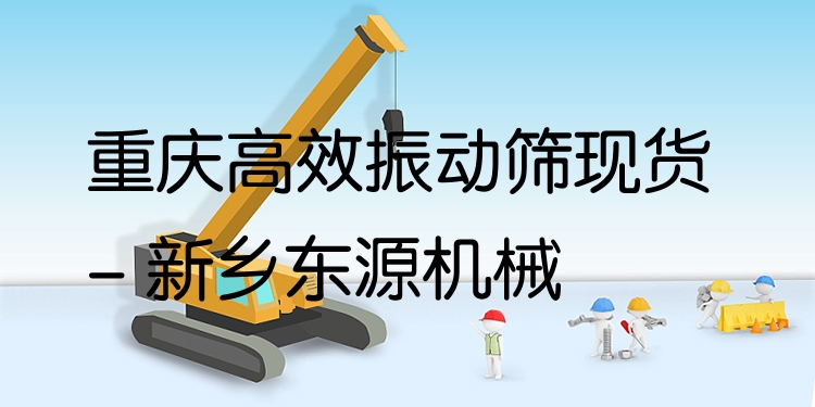 重慶***振動(dòng)篩現(xiàn)貨 - 新鄉(xiāng)東源機(jī)械