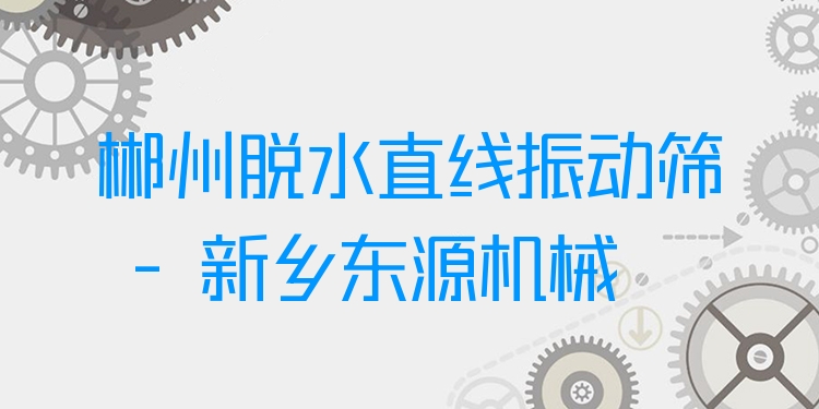 郴州脫水直線振動篩 - 新鄉(xiāng)東源機械