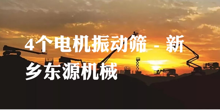 4個(gè)電機(jī)振動(dòng)篩 - 新鄉(xiāng)東源機(jī)械