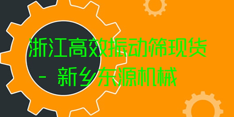 浙江***振動(dòng)篩現(xiàn)貨 - 新鄉(xiāng)東源機(jī)械