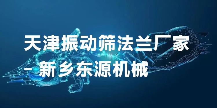 天津振動篩法蘭廠家 - 新鄉(xiāng)東源機(jī)械