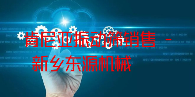 肯尼亞振動篩銷售 - 新鄉(xiāng)東源機械