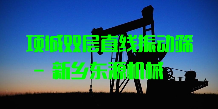 項城雙層直線振動篩 - 新鄉(xiāng)東源機械