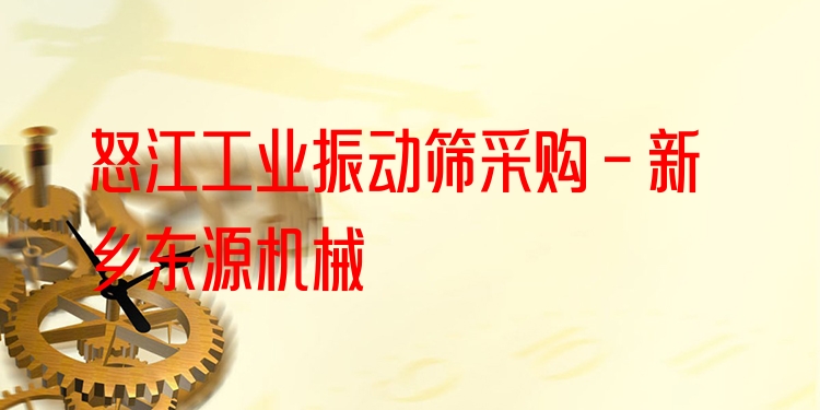 怒江工業(yè)振動(dòng)篩采購 - 新鄉(xiāng)東源機(jī)械