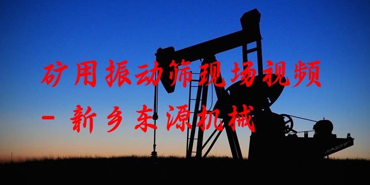 礦用振動篩現(xiàn)場視頻 - 新鄉(xiāng)東源機(jī)械