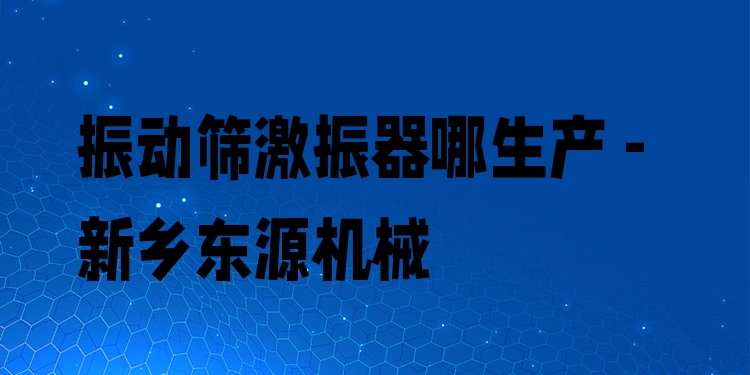 振動(dòng)篩激振器哪生產(chǎn) - 新鄉(xiāng)東源機(jī)械