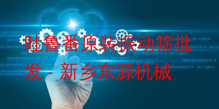 吐魯番原裝振動(dòng)篩批發(fā) - 新鄉(xiāng)東源機(jī)械