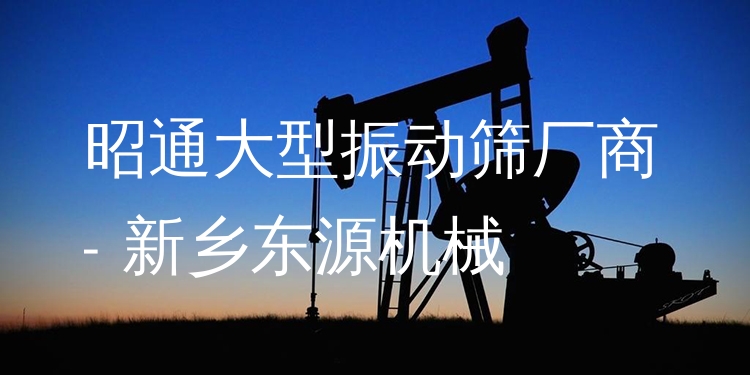 昭通大型振動(dòng)篩廠商 - 新鄉(xiāng)東源機(jī)械