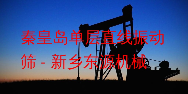 秦皇島單層直線振動(dòng)篩 - 新鄉(xiāng)東源機(jī)械