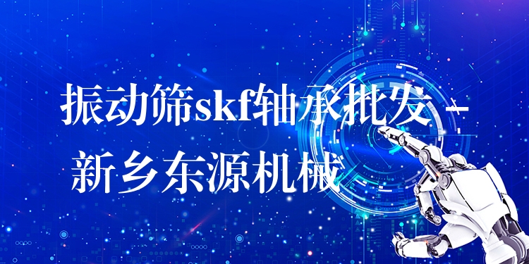 振動(dòng)篩skf軸承批發(fā) - 新鄉(xiāng)東源機(jī)械