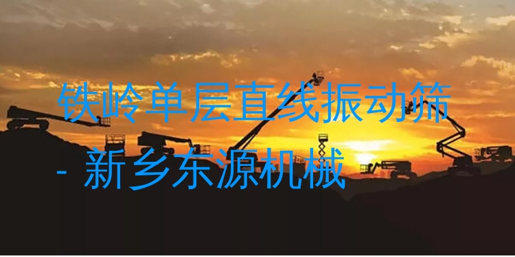 鐵嶺單層直線振動(dòng)篩 - 新鄉(xiāng)東源機(jī)械