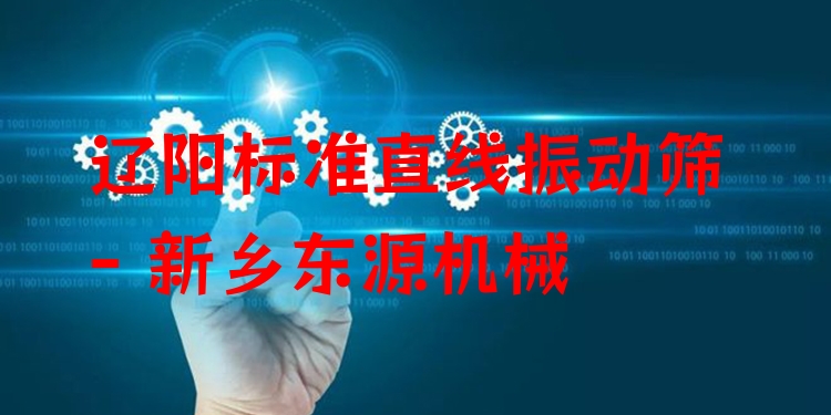 遼陽(yáng)標(biāo)準(zhǔn)直線(xiàn)振動(dòng)篩 - 新鄉(xiāng)東源機(jī)械