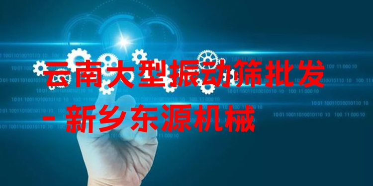 云南大型振動(dòng)篩批發(fā) - 新鄉(xiāng)東源機(jī)械