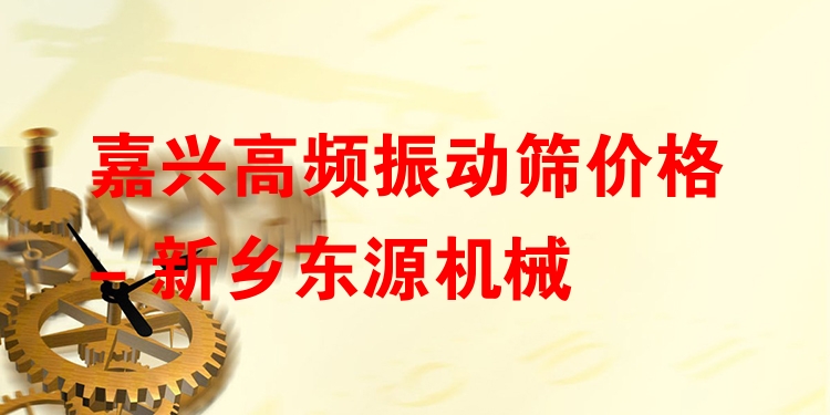 嘉興高頻振動(dòng)篩價(jià)格 - 新鄉(xiāng)東源機(jī)械