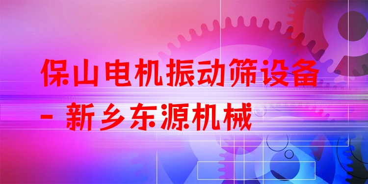 保山電機振動篩設備 - 新鄉(xiāng)東源機械