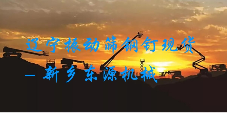 遼寧振動(dòng)篩鋼釘現(xiàn)貨 - 新鄉(xiāng)東源機(jī)械