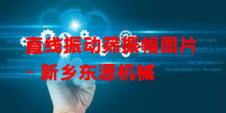 直線振動篩振幅圖片 - 新鄉(xiāng)東源機械