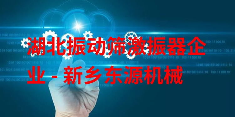 湖北振動(dòng)篩激振器企業(yè) - 新鄉(xiāng)東源機(jī)械
