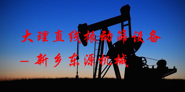 大理直線振動(dòng)篩設(shè)備 - 新鄉(xiāng)東源機(jī)械