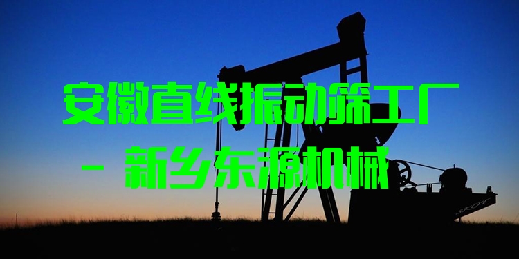 安徽直線振動篩工廠 - 新鄉(xiāng)東源機械