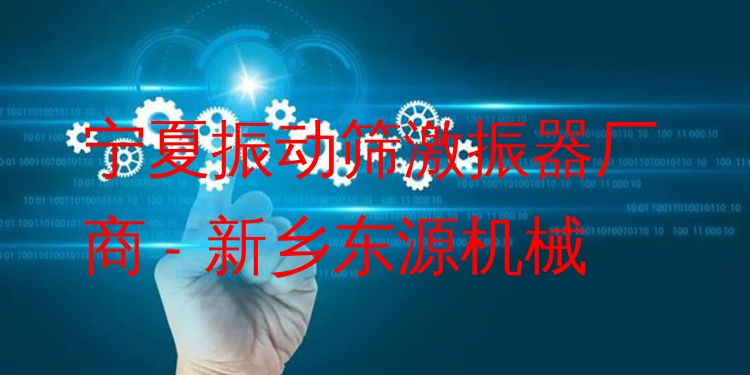 寧夏振動篩激振器廠商 - 新鄉(xiāng)東源機械