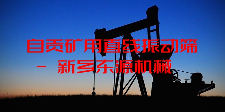 自貢礦用直線振動篩 - 新鄉(xiāng)東源機(jī)械