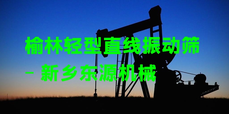 榆林輕型直線振動篩 - 新鄉(xiāng)東源機(jī)械