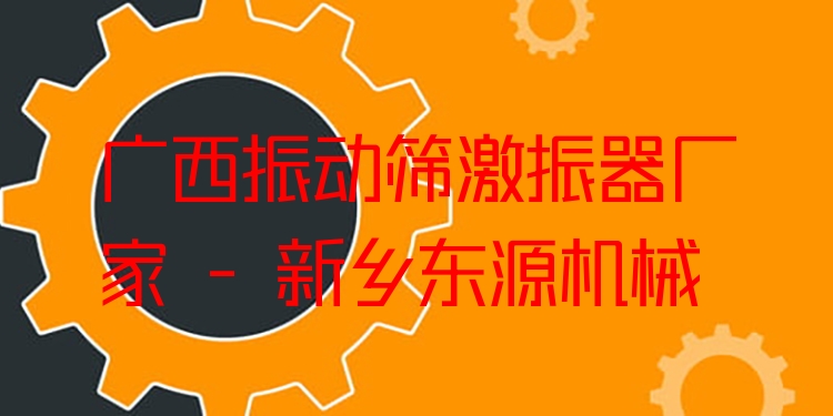 廣西振動(dòng)篩激振器廠家 - 新鄉(xiāng)東源機(jī)械