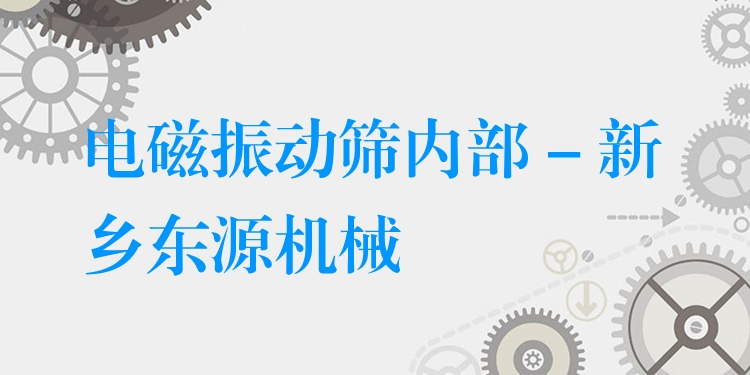 電磁振動篩內(nèi)部 - 新鄉(xiāng)東源機械
