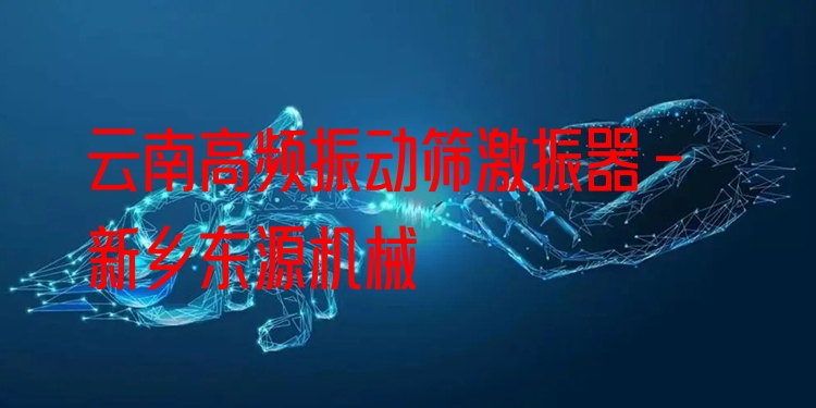云南高頻振動(dòng)篩激振器 - 新鄉(xiāng)東源機(jī)械