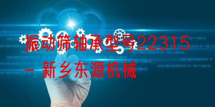 振動篩軸承型號22315 - 新鄉(xiāng)東源機械