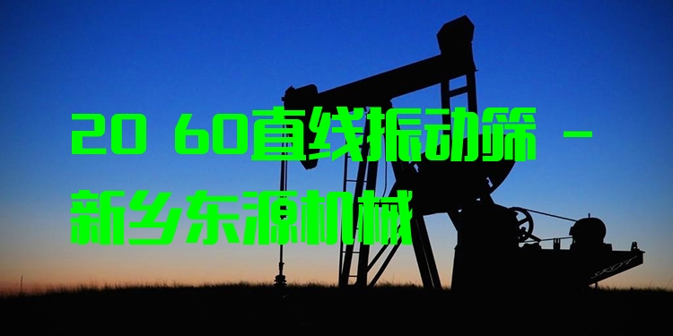 20 60直線振動篩 - 新鄉(xiāng)東源機械