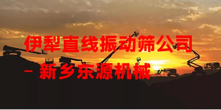 伊犁直線振動(dòng)篩公司 - 新鄉(xiāng)東源機(jī)械