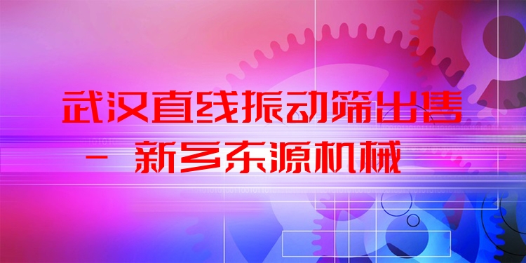 武漢直線振動篩出售 - 新鄉(xiāng)東源機械