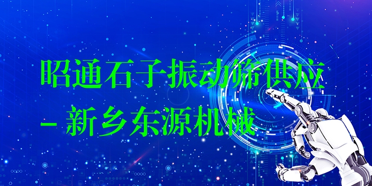 昭通石子振動篩供應 - 新鄉(xiāng)東源機械