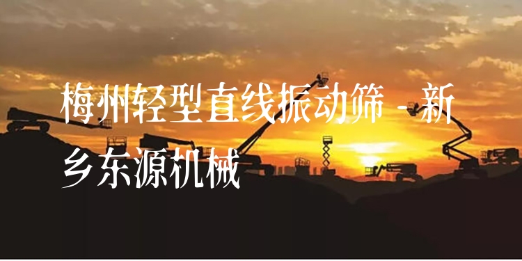 梅州輕型直線振動(dòng)篩 - 新鄉(xiāng)東源機(jī)械