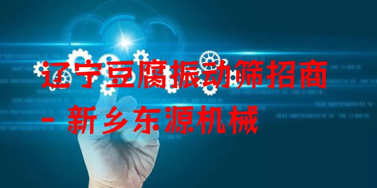 遼寧豆腐振動篩招商 - 新鄉(xiāng)東源機械