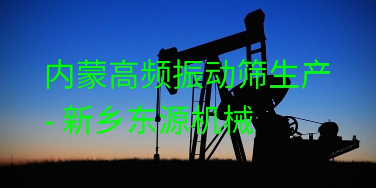 內(nèi)蒙高頻振動篩生產(chǎn) - 新鄉(xiāng)東源機(jī)械