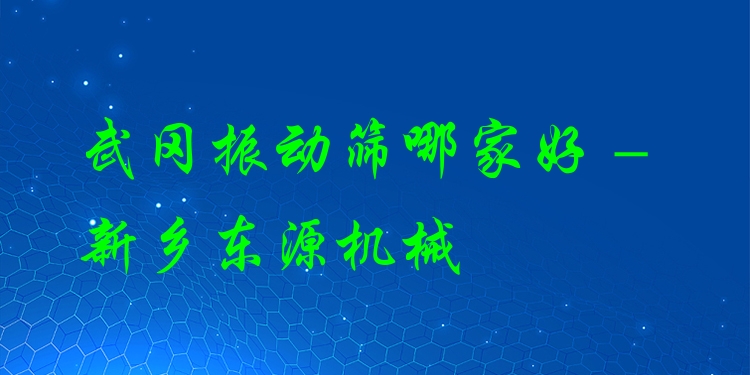 武岡振動篩哪家好 - 新鄉(xiāng)東源機(jī)械