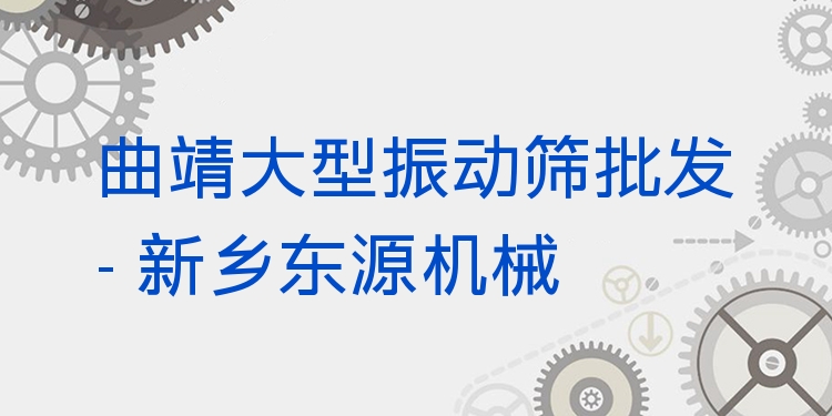 曲靖大型振動(dòng)篩批發(fā) - 新鄉(xiāng)東源機(jī)械