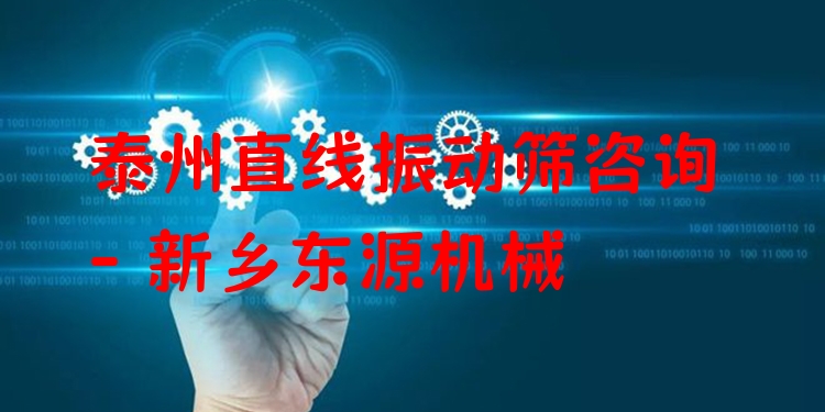 泰州直線振動(dòng)篩咨詢 - 新鄉(xiāng)東源機(jī)械