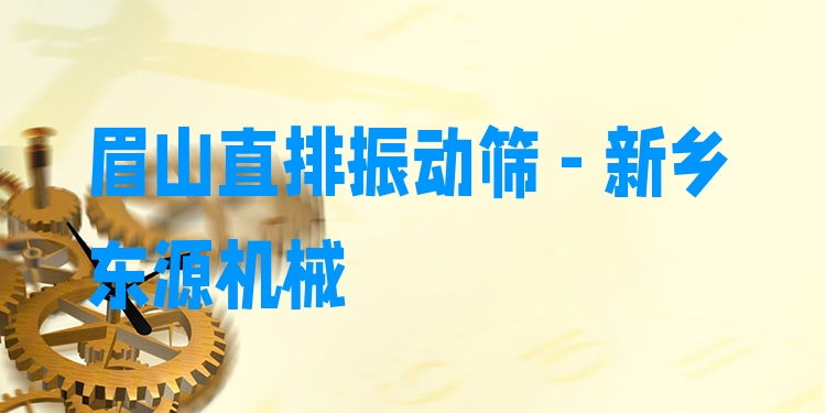 眉山直排振動(dòng)篩 - 新鄉(xiāng)東源機(jī)械