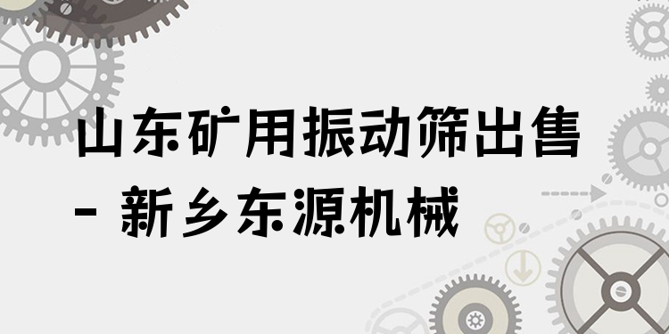 山東礦用振動(dòng)篩出售 - 新鄉(xiāng)東源機(jī)械