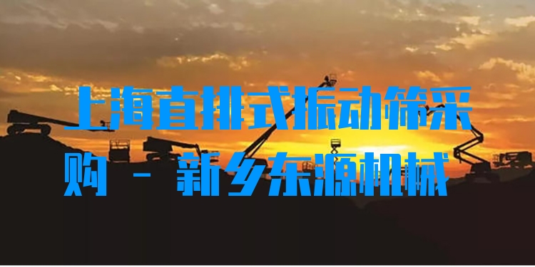 上海直排式振動篩采購 - 新鄉(xiāng)東源機械