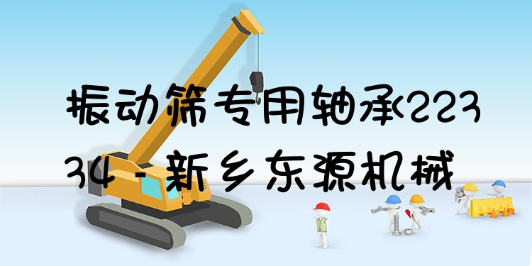 振動(dòng)篩專用軸承22334 - 新鄉(xiāng)東源機(jī)械