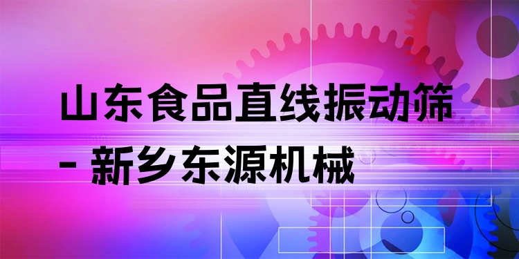 山東食品直線振動篩 - 新鄉(xiāng)東源機(jī)械