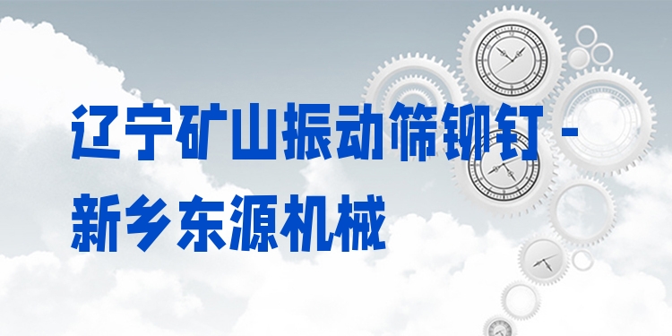 遼寧礦山振動篩鉚釘 - 新鄉(xiāng)東源機械