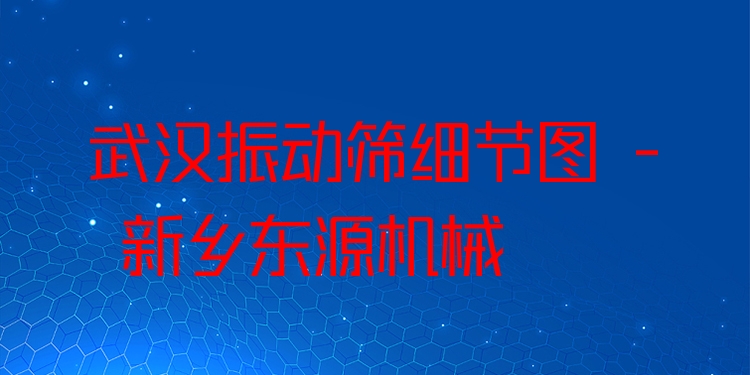 武漢振動篩細節(jié)圖 - 新鄉(xiāng)東源機械