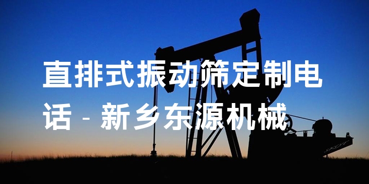 直排式振動篩定制電話 - 新鄉(xiāng)東源機械